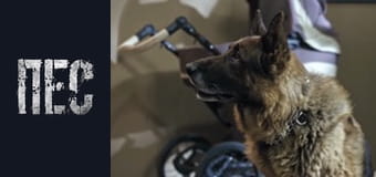 Dog, Season 6, Episode 7