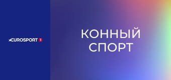 Конный спорт. Конкур. Кубок мира. Этап в Штутгарте, Германия.