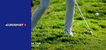 Прыжки на лыжах с трамплина. Кубок мира. Финал в Планице, Словения. HS 240. День 1.