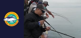 Stardust, part 1 Stardust, part 1