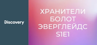 Хранители болот Эверглейдс S1E1