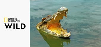 Австралия. Земля древних