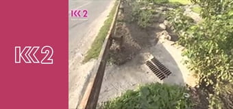 Удачний проект S4E47