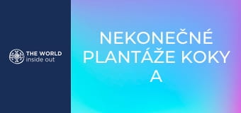 Nekonečné plantáže koky a opekané morské prasiatko na špíze. Bolívia. Nekonečné plantáže koky a opekané morské prasiatko na špíze. Bolívia.