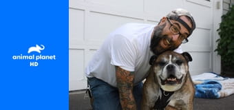 Дома для животных S1E6 - Апгрейд для слепой собаки