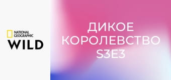 Дикое королевство S3E3