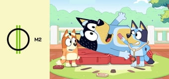 Bluey - Krikett Bluey - Krikett