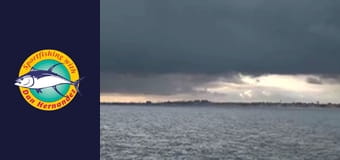 Freelance, part 1 Freelance, part 1