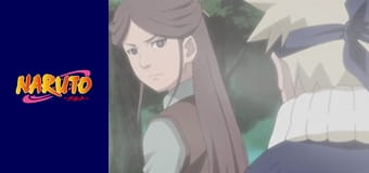 Naruto Season 1 Episode 191