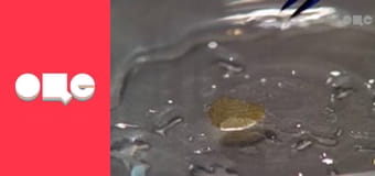 Т/с "CSI: Місце злочину - Нью-Йорк", 4 сезон, 13 с.