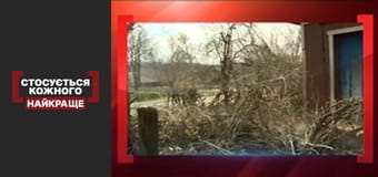 Состояние мумии