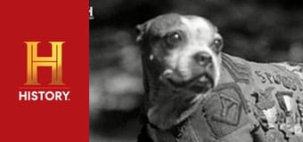 Невероятное с Дэном Эйкройдом, 2 сезон, 3 эп. Фантастические существа.