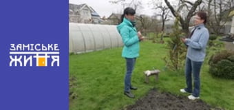 "Дачники" сезон 2 серия 4 "Дачники" сезон 2 серия 4