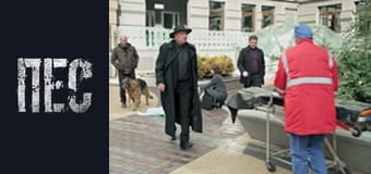 Dog, Season 6, Episode 13