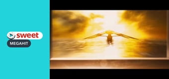 Destination Wedding Destination Wedding