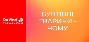 Бунтівні тварини - Чому цикади не люблять ос