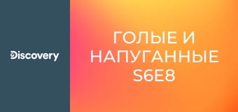 Голые и напуганные S6E8 - Пещерные люди