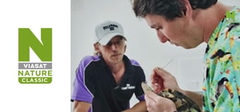 Кліника дивних тварин - Серія 1