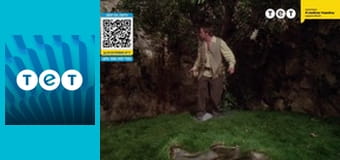 Всі жінки - відьми