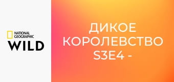 Дикое королевство S3E4 - Военные игры