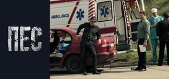 Dog, Season 4, Episode 15