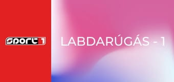 Labdarúgás - 1. FC Köln - Bayern München Labdarúgás - 1. FC Köln - Bayern München