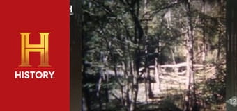 Доказательство где-то рядом, 4 сезон, 16 эп. Болотный монстр с острова Хани, видения в виде сфер и мерзкая акула-убийца.