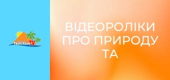 Відеороліки про природу та тварин. Відеороліки про природу та тварин.