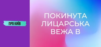 Покинута лицарська вежа в Голосіївському лісі в Києві. Що там приховано?