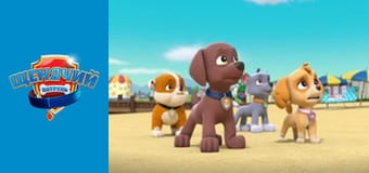 PAW Patrol. Season 3 - Episode 5