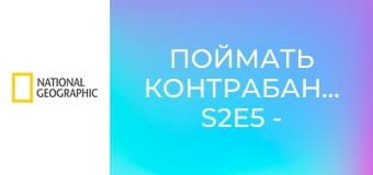 Поймать контрабандиста S2E5 - Торты, порошок и деньги
