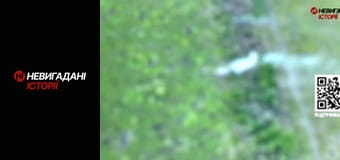 Невигадані історії.