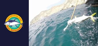 Californian, part 1 Californian, part 1