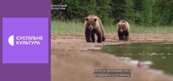 Д/с "Дикі хижаки". "Океани".