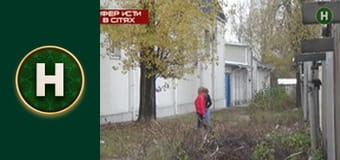 Аферисти в сітях