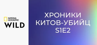 Хроники китов-убийц S1E2