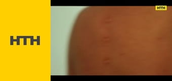 "Правда життя. Професійні байки".