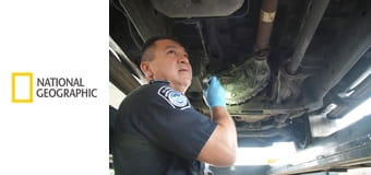 Поймать контрабандиста: Аэропорт Кеннеди S7E3 - Кокаиновые отсеки и древние греки