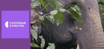 Д/с "Суперздібності тварин". "Шосте чуття".