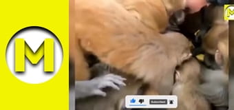 TOP (Max TV) - сезон 3 - серія 39 TOP (Max TV) - сезон 3 - серія 39