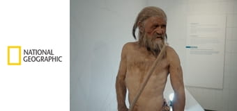 Древние останки: Тайны и правда S1E2 - Старик Кроган: убийство короля