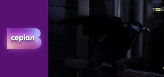 "Реальна містика", 2 сезон, 16 еп. "Ворон".