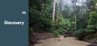 Выживание без купюр S1E4