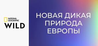 Новая дикая природа Европы S1E6 - Страна снега и льда