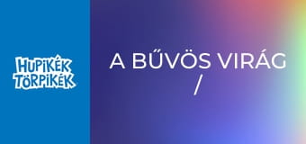 A bűvös virág / Apáknapi ajándék