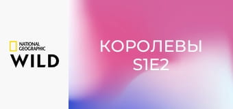 Королевы S1E2