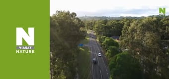 Австралийские змееловы - Двойные неприятности Австралийские змееловы - Двойные неприятности