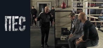 Пес, Сезон 5, Серія 2