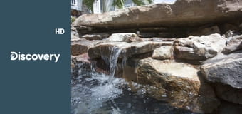 Невероятные бассейны S1E6 - Цветы жизни