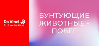 Бунтующие животные - Побег от осы